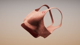 LL_Bra_Still_08 