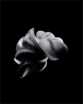 Lulu_BeyondFeel_Design_CS_003_002 