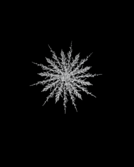 Lulu_IceVest_Design_CS_004_001 