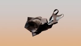 Lulu_Runsie_Float_Design_CS_001_001 