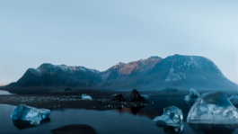 madcoffee_frame03_Detail_002 