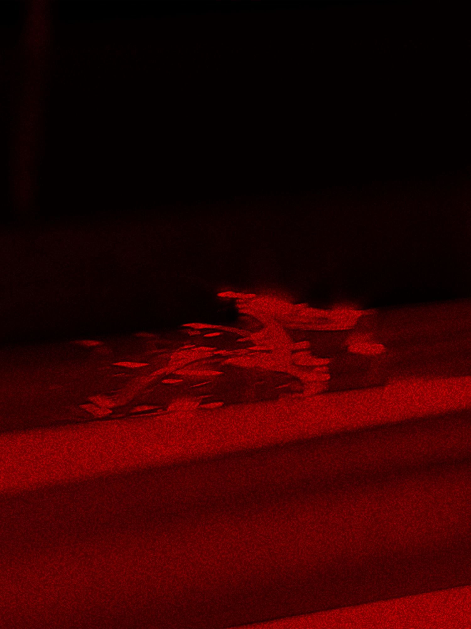 Post 04 F1 2026-7 